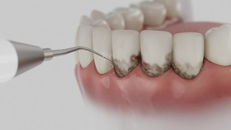 Reliable Dental contractor in Laurel, DE by Dentist Open Now